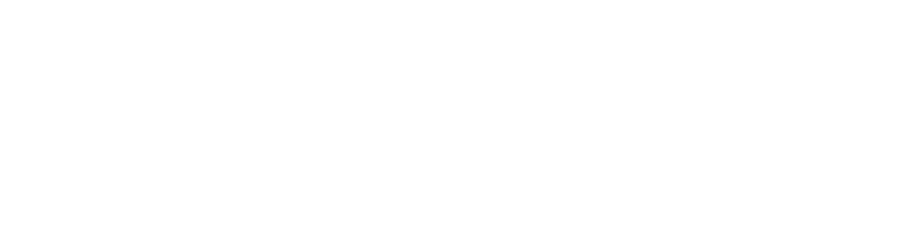 Grupo Ferroeste